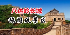 wwwww啪啪啪中国北京-八达岭长城旅游风景区