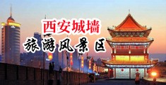 大狼狗狂操美女中国陕西-西安城墙旅游风景区