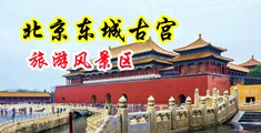 淫荡欧美淫乱女中国北京-东城古宫旅游风景区